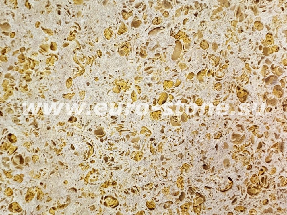 Ракушечник ярко-желтый