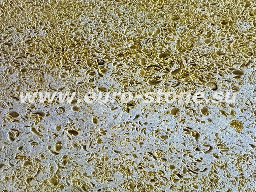 Ракушечник желтый