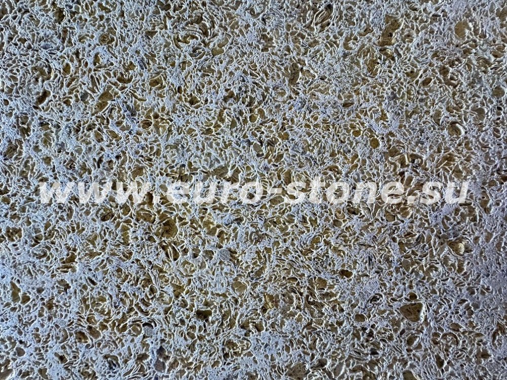 Ракушечник серый