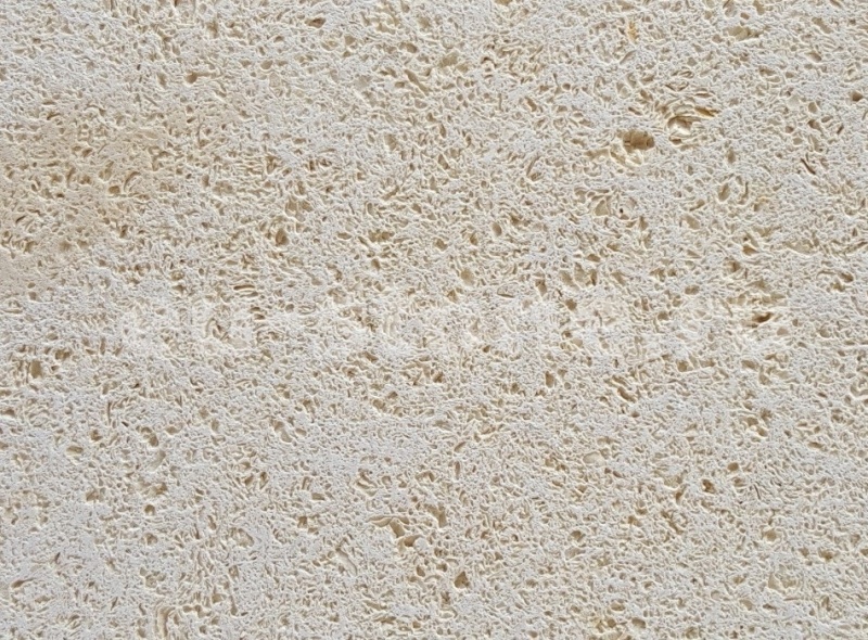 Ракушечник молочный