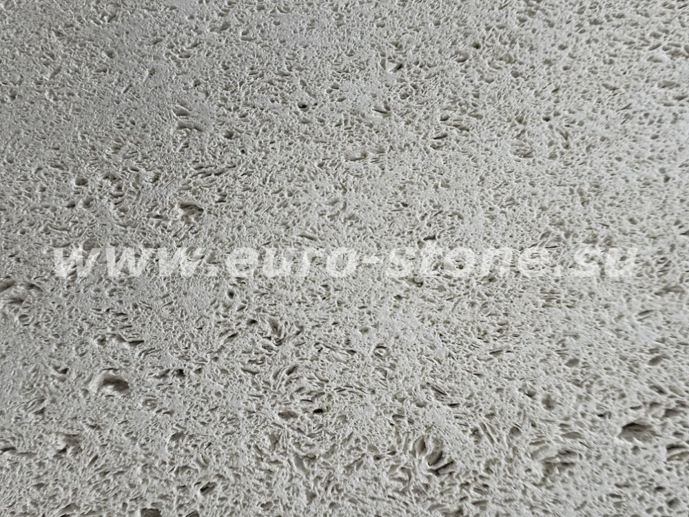 Ракушечник белый