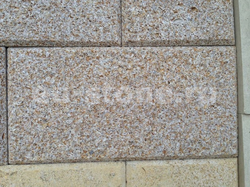 Ракушечник коричневый