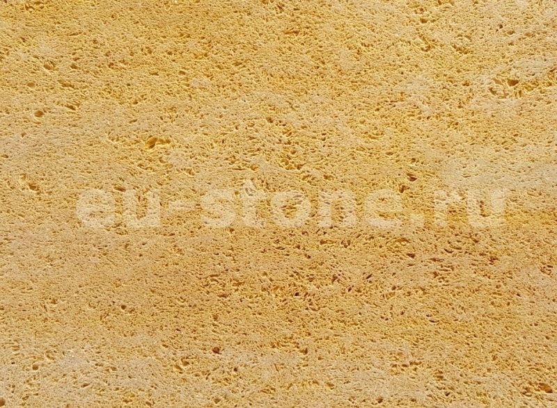 Ракушечник ярко-желтый